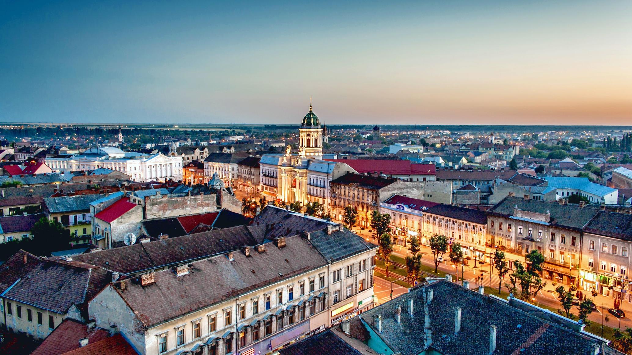 Lucrare licență în Arad