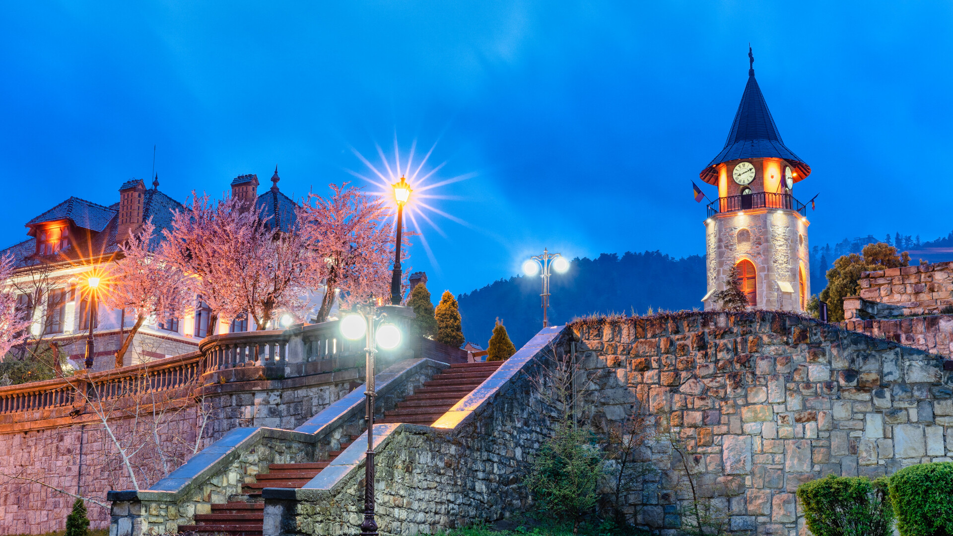 Lucrare licență în Piatra Neamț